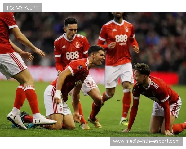 英超：桑德兰 1-1 埃弗顿 争议判罚引热议，桑德兰主场